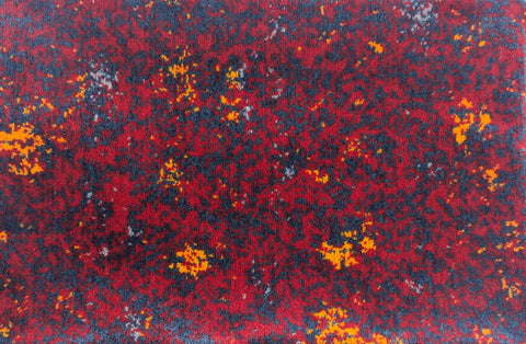 Sydney PRIORITY Waratah Train Large Carpet Bag